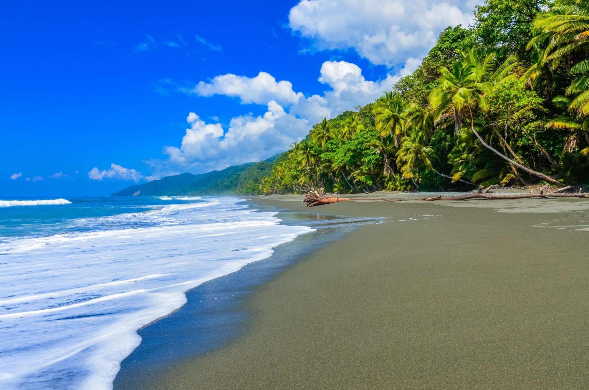 Botanika Osa Peninsula, Curio Collection By Hilton Hotel ปัวร์โตคิมาเนซ ภายนอก รูปภาพ
