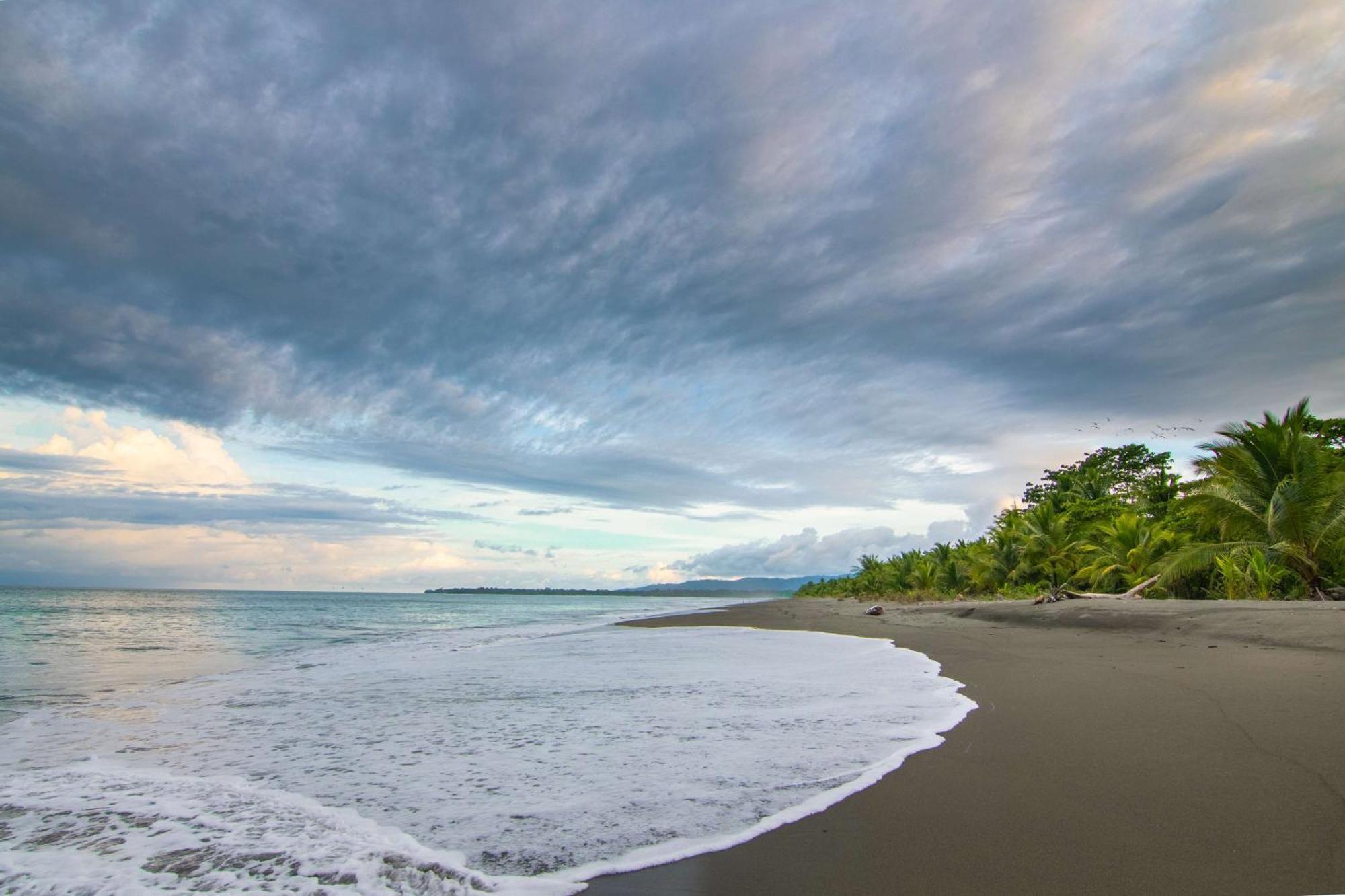 Botanika Osa Peninsula, Curio Collection By Hilton Hotel ปัวร์โตคิมาเนซ ภายนอก รูปภาพ