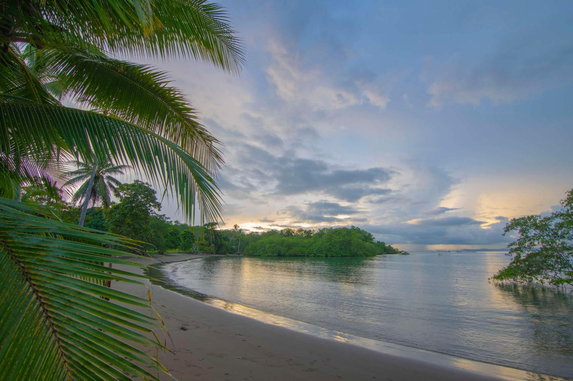Botanika Osa Peninsula, Curio Collection By Hilton Hotel ปัวร์โตคิมาเนซ ภายนอก รูปภาพ