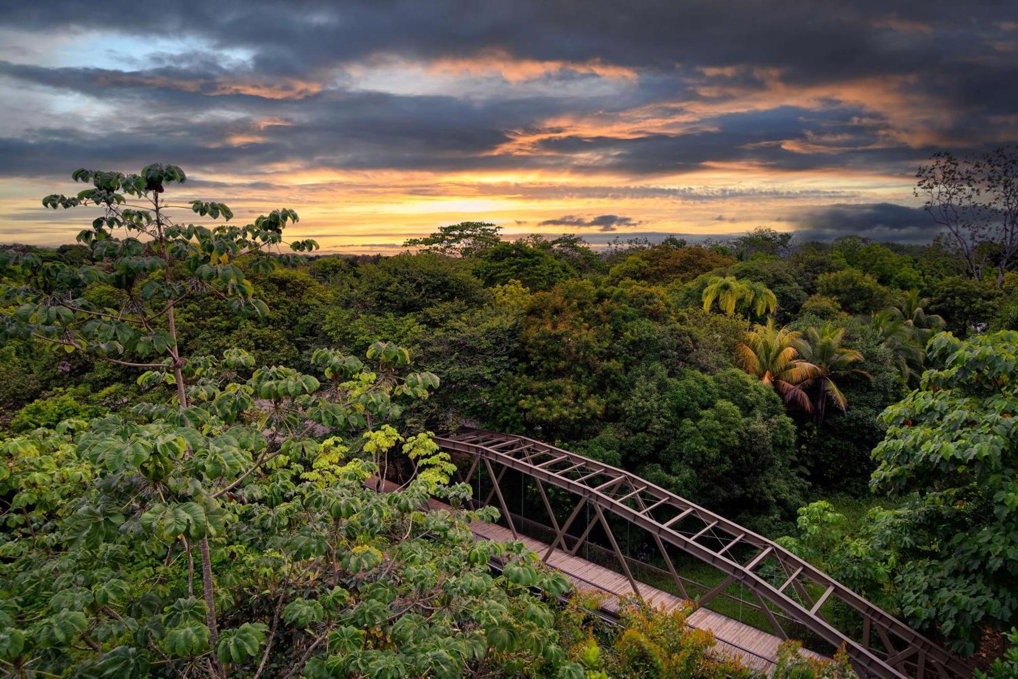 Botanika Osa Peninsula, Curio Collection By Hilton Hotel ปัวร์โตคิมาเนซ ภายนอก รูปภาพ